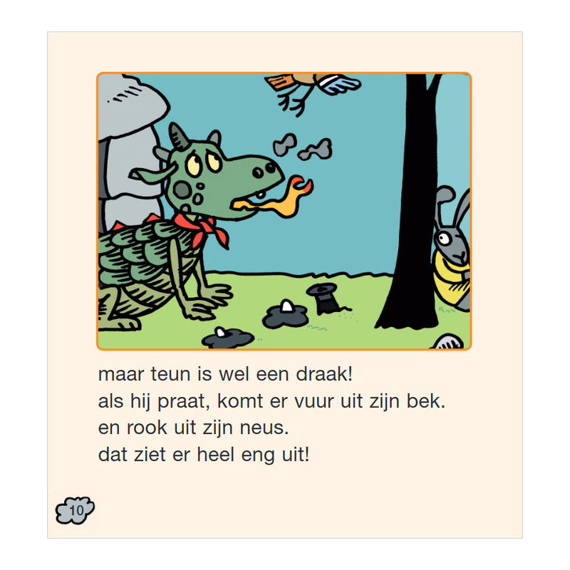 Afbeelding laden in galerijviewer, Het boek van teun
