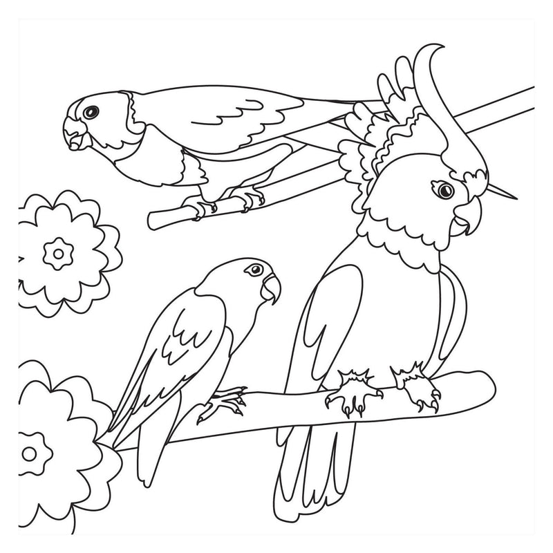 Afbeelding laden in galerijviewer, Kleurboek - birds nieuw
