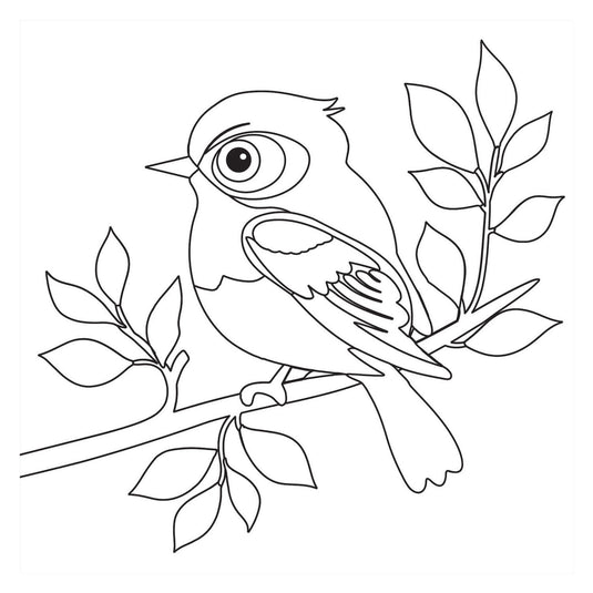 Kleurboek - birds nieuw