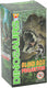 Lobbes dino projector