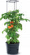 Prosperplast vorstbestendige tomatenpot tomatenteler ipom300
