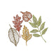 Sizzix • tim holtz thinlits die set skeleton leaves 5pcs