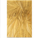 Sizzix • 3d textured impressions embossing folder fallen leaves