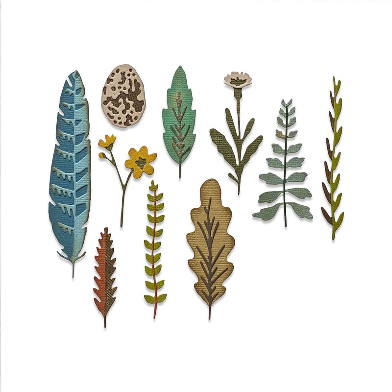 Afbeelding laden in galerijviewer, Sizzix • tim holtz thinlits die set funky nature 10pcs
