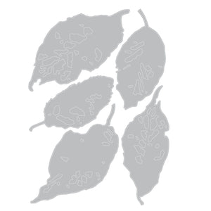 Sizzix • die set 5pcs leaf fragments by tim holtz