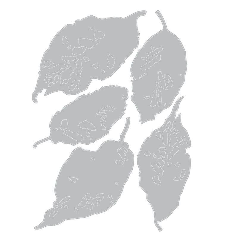 Afbeelding laden in galerijviewer, Sizzix • die set 5pcs leaf fragments by tim holtz
