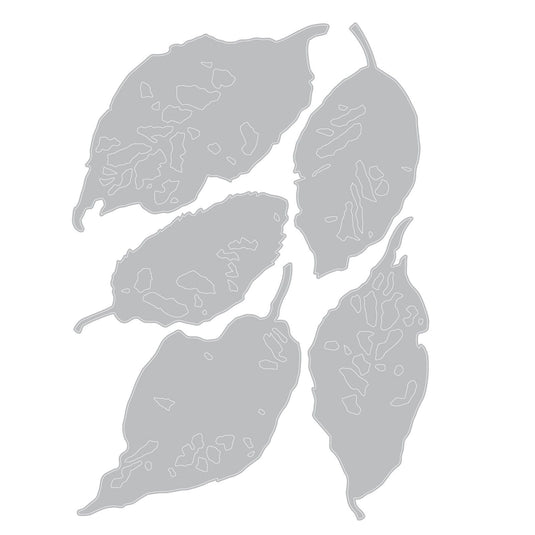 Sizzix • die set 5pcs leaf fragments by tim holtz
