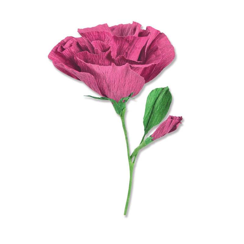 Afbeelding laden in galerijviewer, Sizzix • thinlits die set lisianthus by alexis trimble
