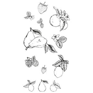 Sizzix • clear stamp set botanical fruit 19pcs