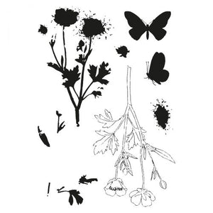Sizzix • clear stamps set a5 with framelits die painted pencil botanical