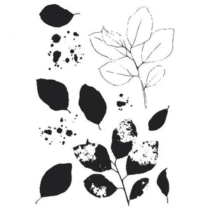 Sizzix • clear stamps set a5 with framelits die painted pencil leaves