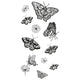 Sizzix • clear stamp set nature butterflies 13pcs