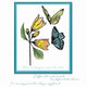 Sizzix • cosmopolitan clear stamp set stencil farfallina