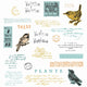 Sizzix • clear stamp set a5 with framelits die bird song 28pcs