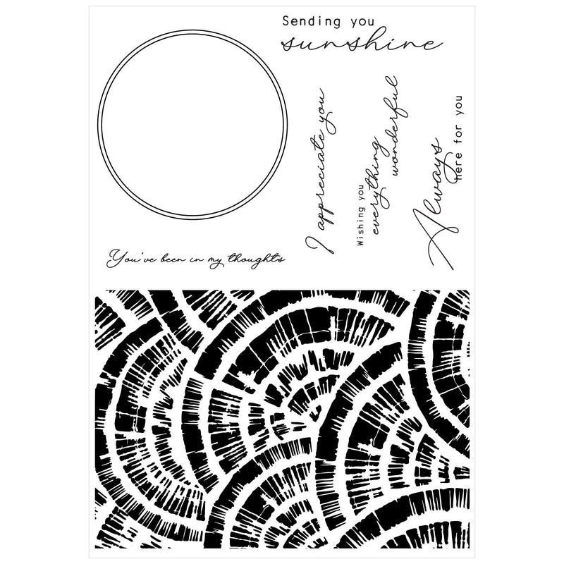 Afbeelding laden in galerijviewer, Sizzix • creative coordinations clear stamps with framelits radiance 8pcs
