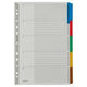 Blanco tabbladen leitz mylar 4320 kleurenassortiment bopet