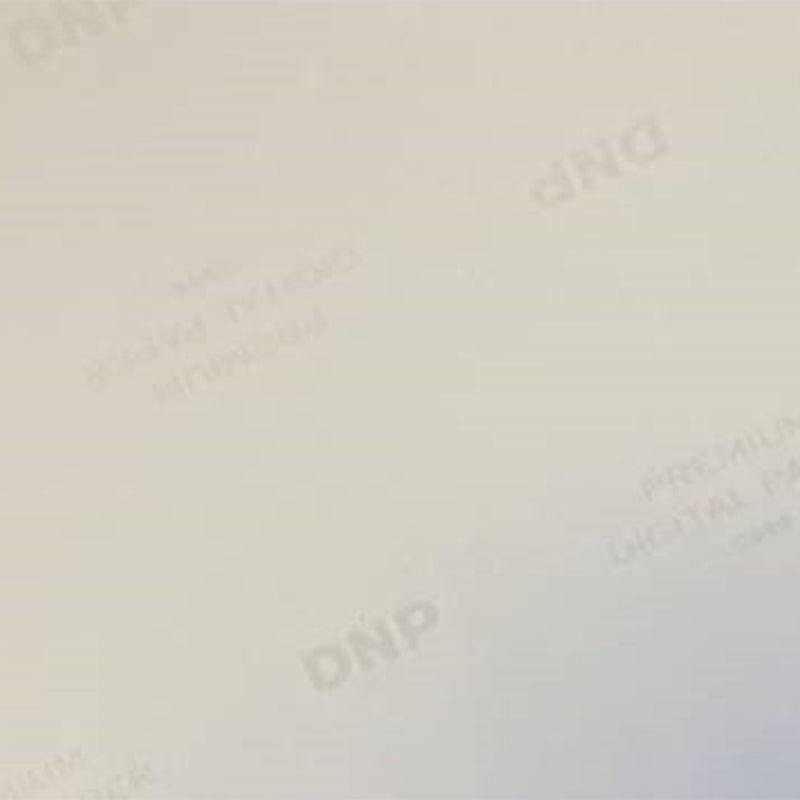 Afbeelding laden in galerijviewer, DNP Standaard Papier DSRX1HS-4X6 2 Rol � 700 St. 10x15 voor DS-RX1HS
