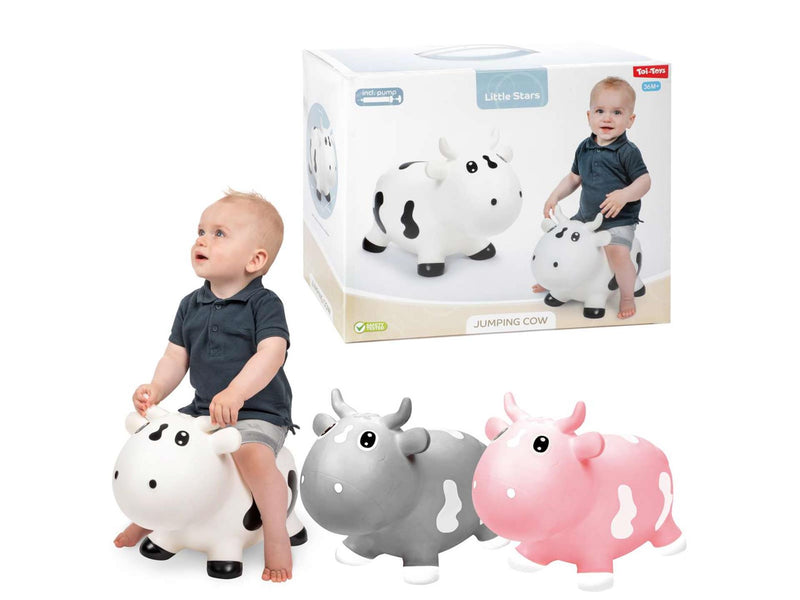 Afbeelding laden in galerijviewer, Toi-toys toi toys little stars skippydier koe
