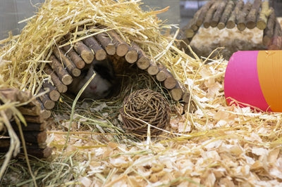 Afbeelding laden in galerijviewer, Nature first happy pet playstix knaaghuis
