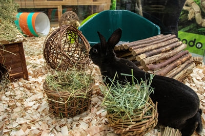 Afbeelding laden in galerijviewer, Nature first happy pet wilgen hooirek
