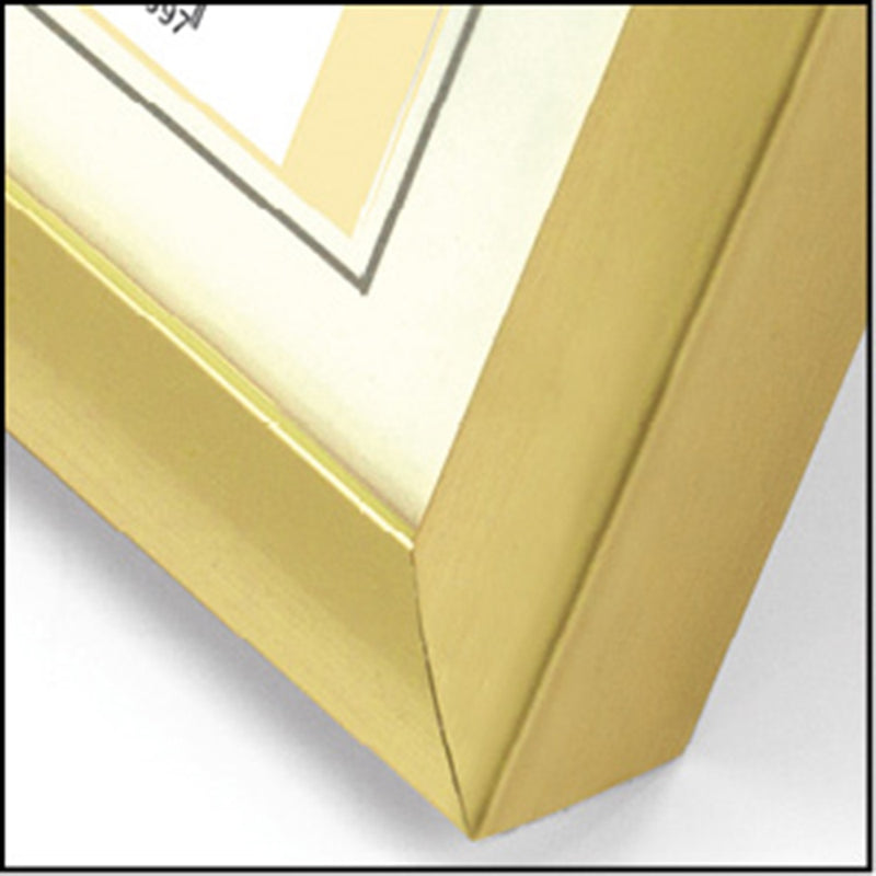 Afbeelding laden in galerijviewer, Zep fotolijst kg2 goud 13x18 cm
