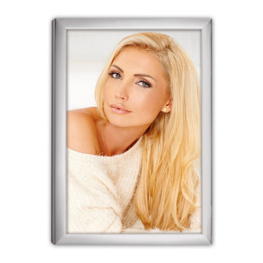 Zep 120s20-8r silver frame 20x25 cm
