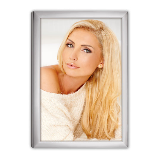 Zep 120s20-8r silver frame 20x25 cm