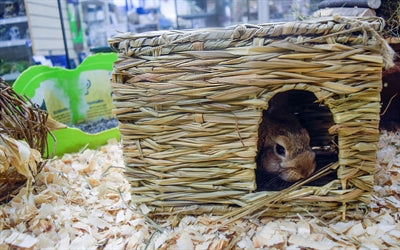 Afbeelding laden in galerijviewer, Nature first happy pet grassy hideaway verstopplek
