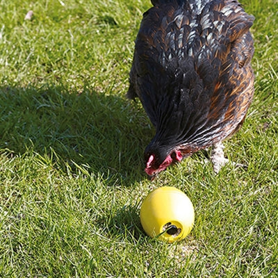 Afbeelding laden in galerijviewer, Savic kippenspeeltje chicken fun
