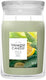 Yankee candle - sage citrus large jar geurkaars - 90 branduren - twee lonten