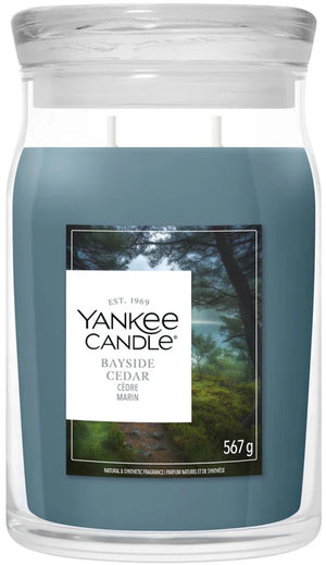 Yankee candle - bayside cedar large jar geurkaars - 90 branduren - twee lonten