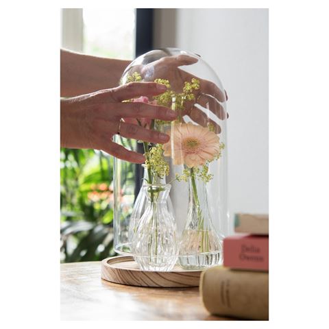 Afbeelding laden in galerijviewer, Clayre eef stolp 6gl2170 transparent 18x28 cm

