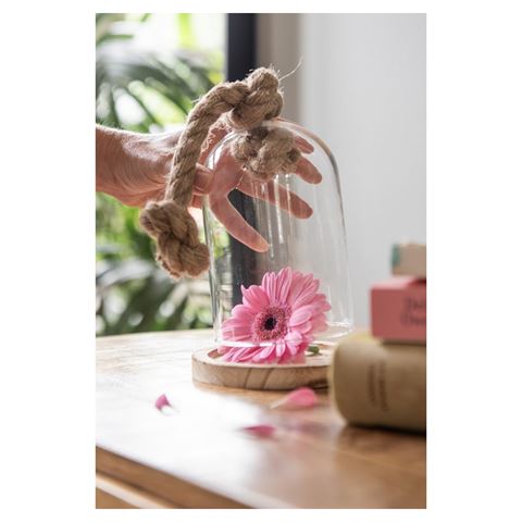 Afbeelding laden in galerijviewer, Clayre eef stolp 6gl2222 transparent 17x29 cm
