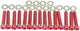 Tnt motordeckelschraubensatz screw set engine cover piaggio 50 red