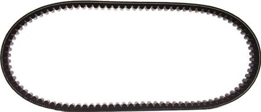 Polini v-snaar verstärkt v-belts verst. 27.5x1038 mm