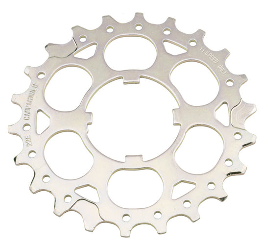 Campagnolo tandkrans 22e