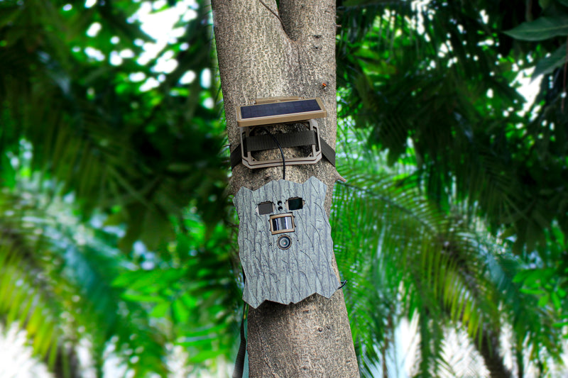 Afbeelding laden in galerijviewer, Stealth gear owl solar 4k wifi wildcamera
