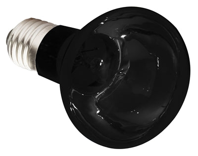 Afbeelding laden in galerijviewer, Komodo nachtgloed lamp es
