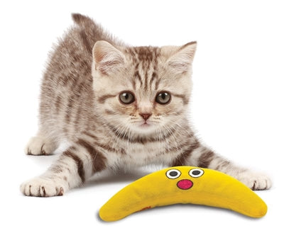 Afbeelding laden in galerijviewer, Petstages green magic boomerang buddy
