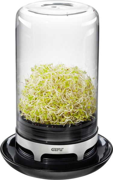 Gefu sprossenglas bivita® – verse kiemen eenvoudig thuis gekweekt