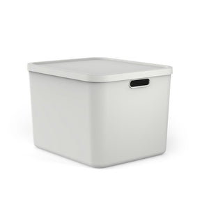 Rotho albula multibox 55l wit