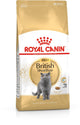 Royal canin british shorthair adult - 4 kg - kattenvoer