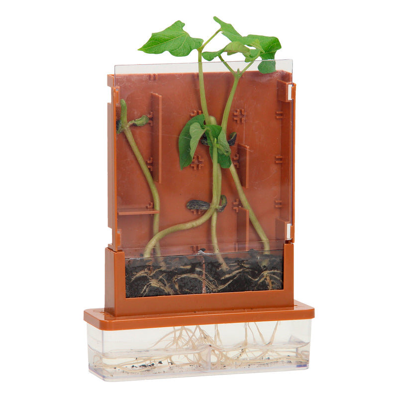 Afbeelding laden in galerijviewer, Experimenten - planten doolhof, 21dlg.
