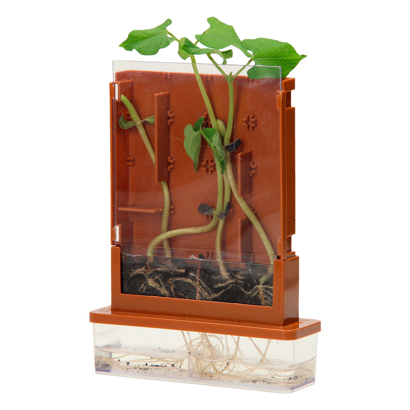Afbeelding laden in galerijviewer, Experimenten - planten doolhof, 21dlg.
