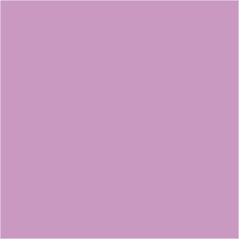 Afbeelding laden in galerijviewer, Https: www.cchobby.nl eva-foam-a4-vel-210x297-mm-dikte-2-mm-lichtpaars-10-vel-1-doos
