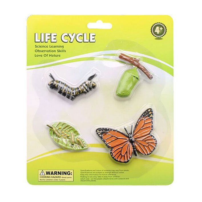 Afbeelding laden in galerijviewer, Cycplus levenscyclus vlinder speelfiguren set

