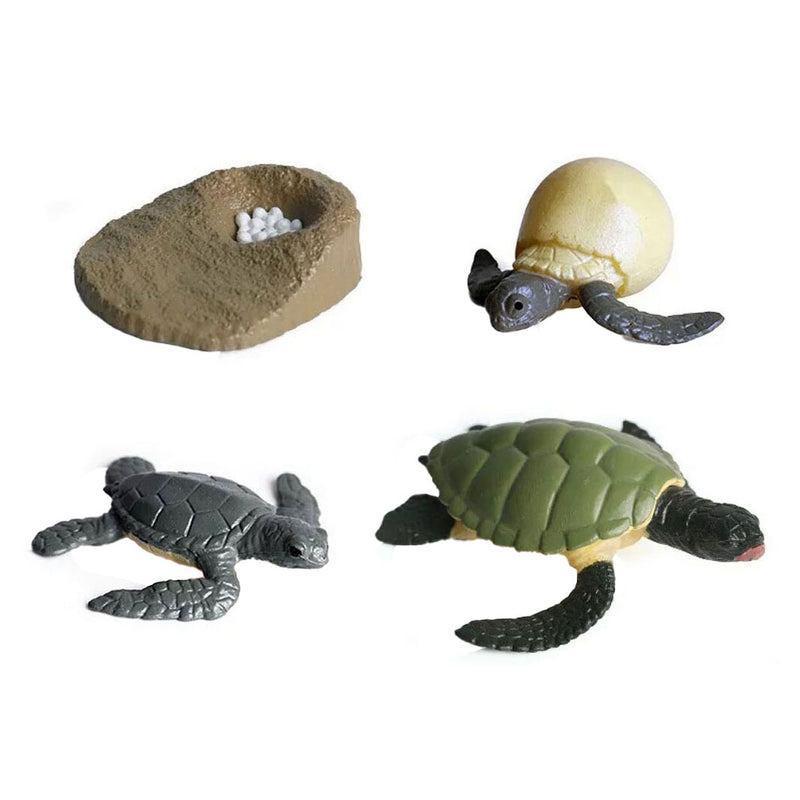 Afbeelding laden in galerijviewer, Cycplus levenscyclus schildpad speelfiguren set
