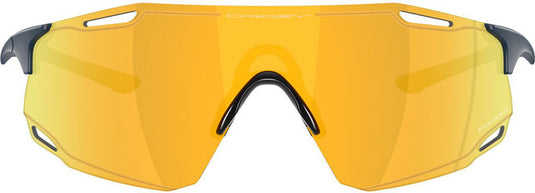 Oakley cybr dyno sports glasses