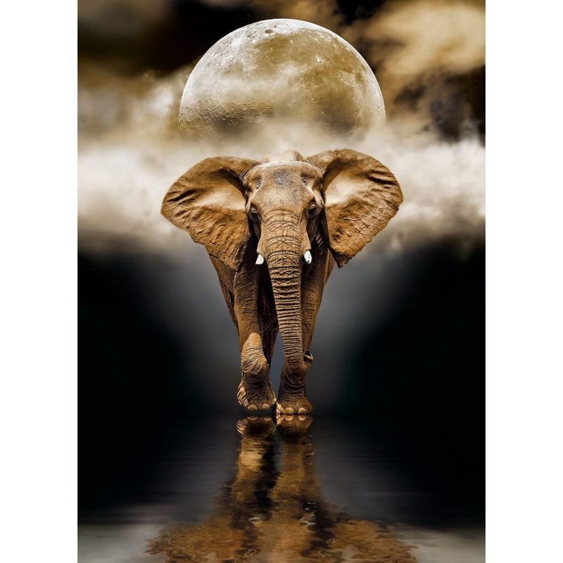 Afbeelding laden in galerijviewer, Clementoni high quality collection puzzel 1000 stukjes verschillende uitvoeringen
