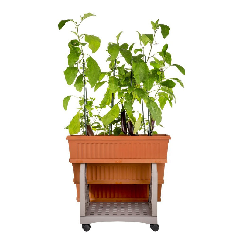 Afbeelding laden in galerijviewer, Bama orto di kit plantenbakken 80x74x73 cm terracotta
